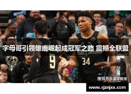 字母哥引领雄鹿崛起成冠军之路 震撼全联盟