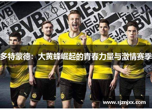 多特蒙德：大黄蜂崛起的青春力量与激情赛季