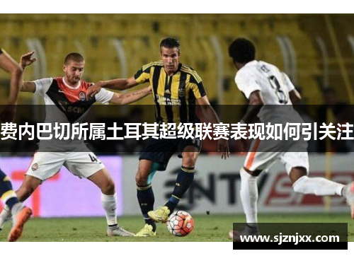 费内巴切所属土耳其超级联赛表现如何引关注